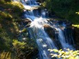 GREIMELGRABEN - Wanderung - Zellerrain - Vorderötscher - Ötschergräben - Stausee - Mitterbach