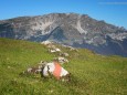 ÖTSCHER - Wanderung - Zellerrain - Vorderötscher - Ötschergräben - Stausee - Mitterbach