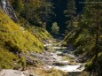 ÖTSCHERGRÄBEN - Wanderung - Zellerrain - Vorderötscher - Ötschergräben - Stausee - Mitterbach