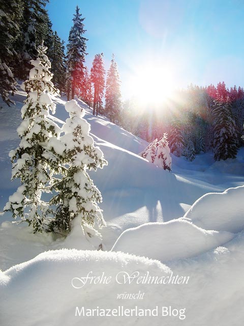 Frohe-Weihnachten_1374