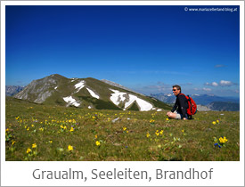 Graualm_Seeleiten_Brandhof