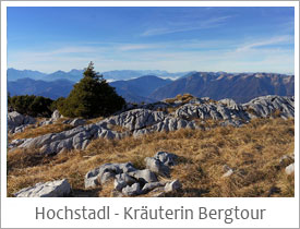 Hochstadl - Kräuterin Ausblick