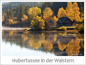 Hubertussee in der Walstern