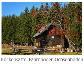 Koeckensattel-fahrnboden-ochsenboden