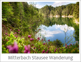 Sehenswert-Mitterbach-Stausee