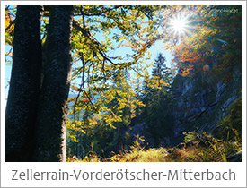 Zellerrain-Vorderoetscher-Oetschergraeben-Mitterbach