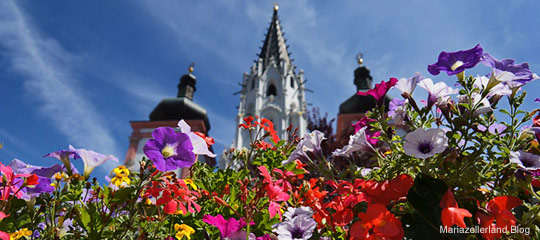 blumenschmuck-am-hauptplatz-in-mariazell-2012