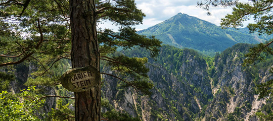 Marienstein-Ausblick-Gemeindealpe_Titel