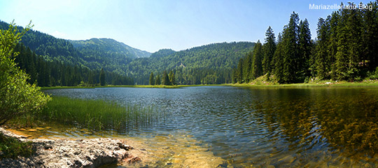 Obersee - Dürrenstein