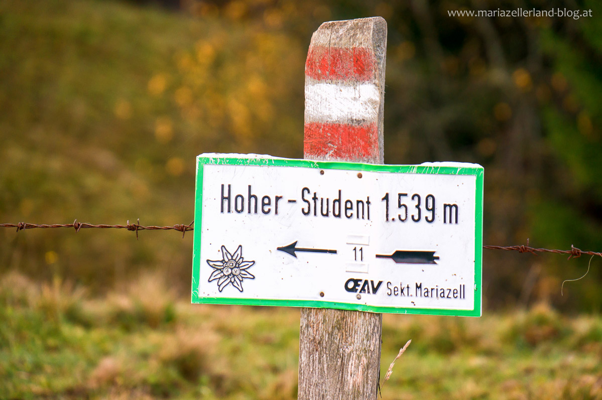 Hohe_Student_Haselspitz_DSC02478