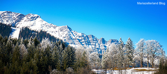 Oetscher-Rauher-Kamm-Winter_Titel