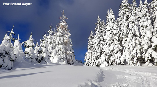 Winter-Mariazellerland-2013-Gerhard-Wagner_Titel_1882