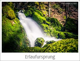 Erlaufursprung-Wanderung