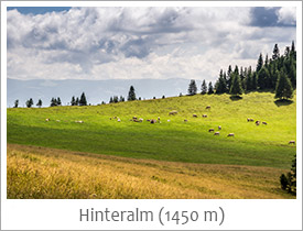 Hinteralm