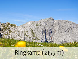 Ringkamp_275_210