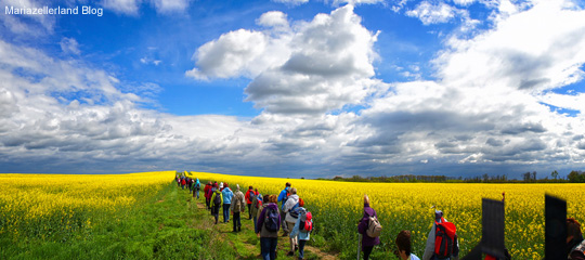 Rapsfeld-Pilgerwanderung_Titel