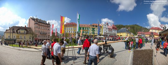 Maibaum-Mariazell-2014-Panorama