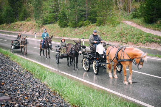 Werner-Feldhammer-Pferdekutsche_DSCN0445