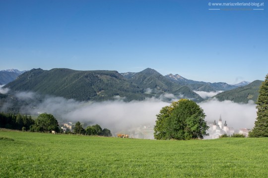 Herbst_Mariazell_Basilika_Morgennebel_2014DSC07879