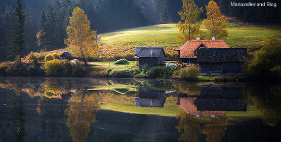 Weisenblasen_Walstern_Hubertussee_2014_Titel