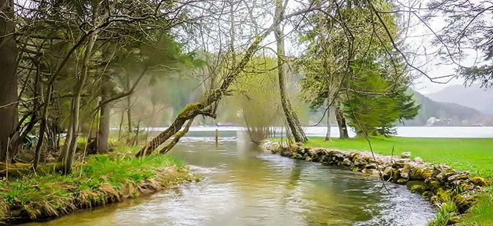 Erlaufsee-Wanderung-Gerhard-Wagner-Titel