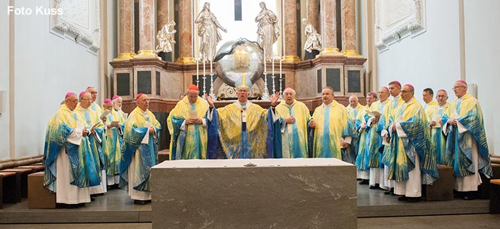 Bischofskonferenz-Mariazell_2015_387