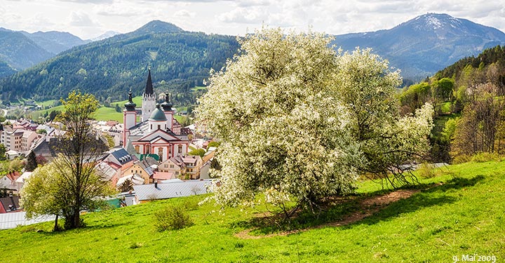 Mariazell-Basilika-Frühling
