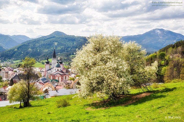 Mariazell-Frühling