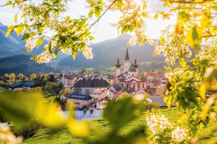 Basilika Mariazell-