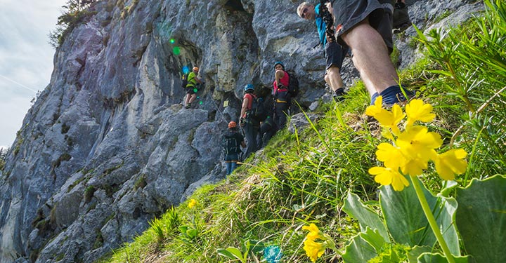 Kletterpark Spielmäuer - Wegscheid bei Mariazell - Klettersteigtag