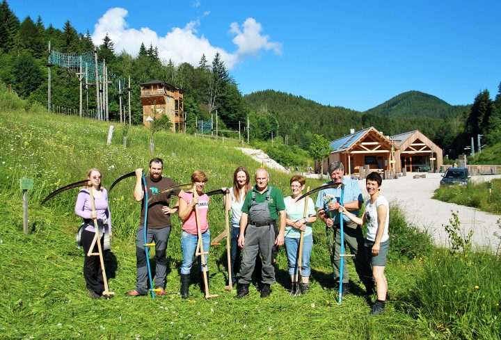 Heuernte_c_Naturpark-Ötscher-Tormäuer