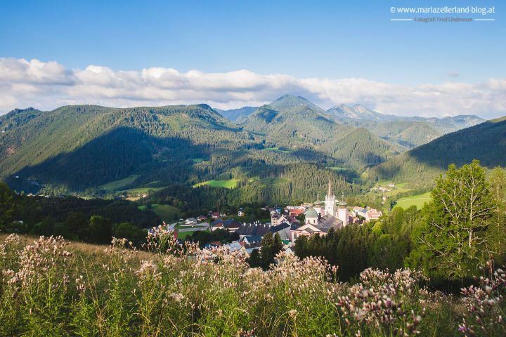 Basilika Stehralm Mariazell August 2016-3225