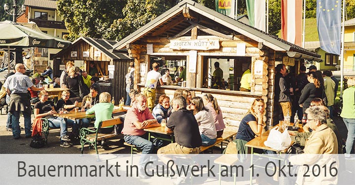 bauernmarkt-gusswerk-2016