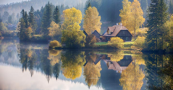 weisenblasen-walstern-hubertussee_6143