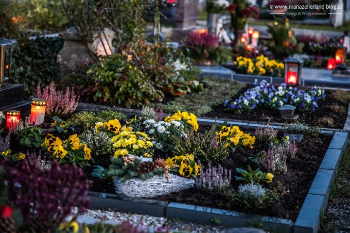 friedhof-mariazell-allerheiligen-47158