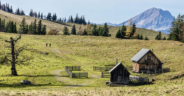 tirolerkogel-kuchl-alm-annaberg-04006