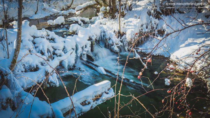 winterlandschaft-mariazell-jan2017-0839