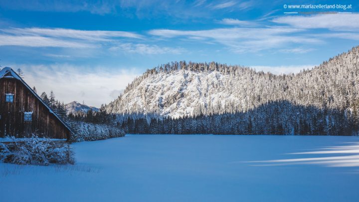 winterlandschaft-mariazell-jan2017-0853