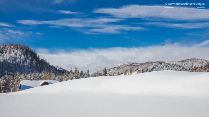 winterlandschaft-mariazell-jan2017-0856