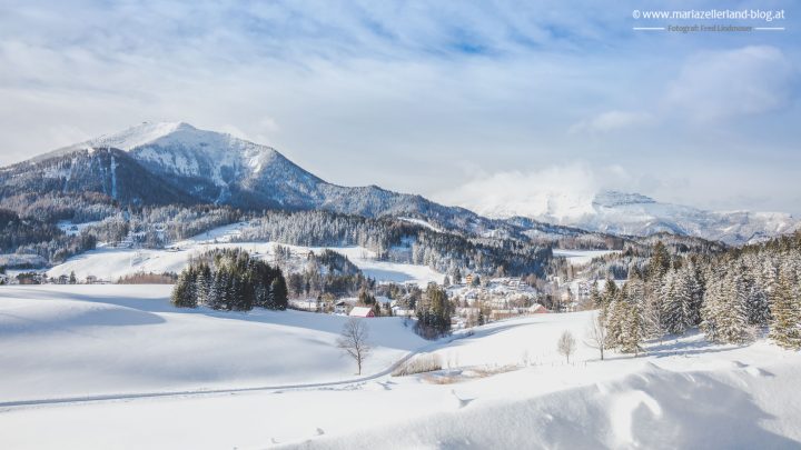 winterlandschaft-mariazell-jan2017-0877