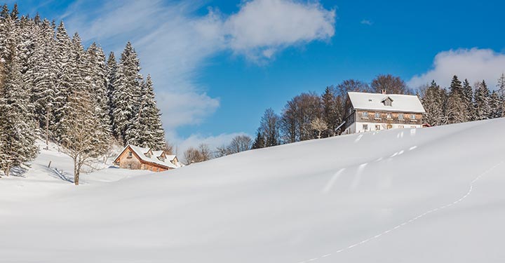 winterlandschaft-mariazell-jan2017-0881