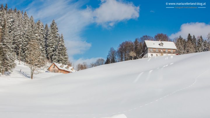 winterlandschaft-mariazell-jan2017-0881