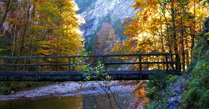 Goldener-Herbst_6863-Kopie