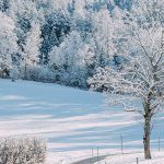 Winterlandschaft-Mariazellerland-11122020-0134