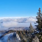 Bild der Woche: Feldhütl Mariazellblick