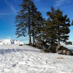 Bild der Woche: Eisener Herrgott auf der Brach