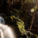 Erlaufursprung - Fotos und Video