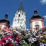 Blumenpracht-in-Mariazell-©Hermine-Meissinger-Titel_23062021