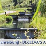 Declevas-Alpenfisch_Stellenausschreibung-Mariazell-27769