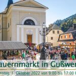 Bauernmarkt-in-Gusswerk-2022